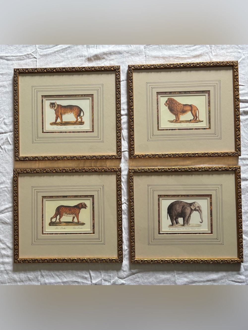 Set of 4 Framed Vintage Animal Prints - Gold Frames, Beige Mats